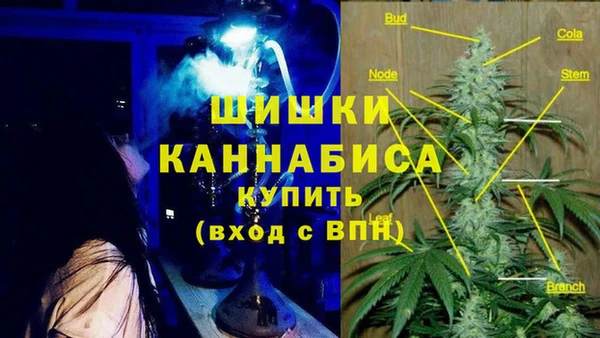 PSILOCYBIN Киреевск