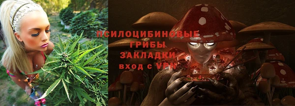 PSILOCYBIN Киреевск